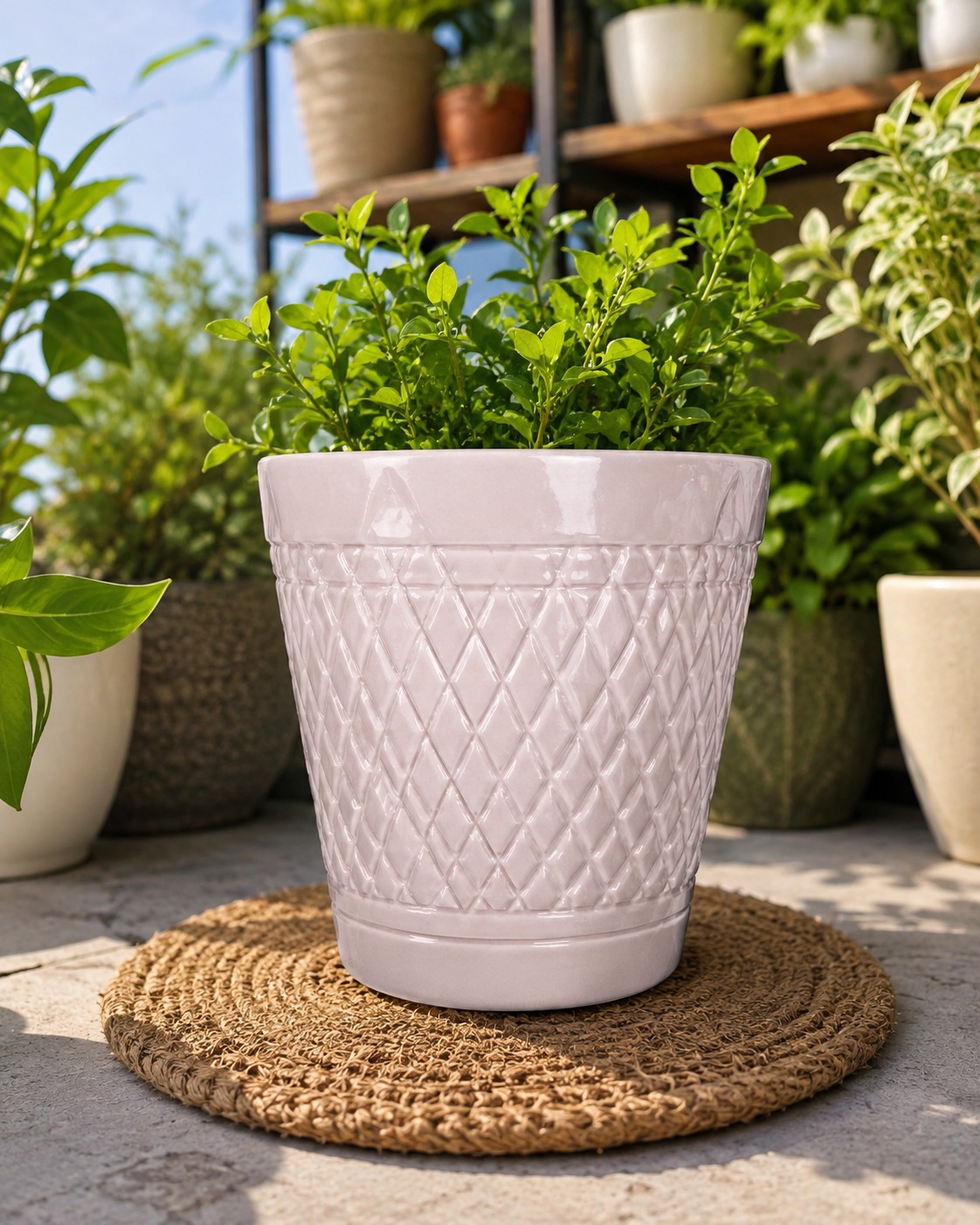 Nirmal ceramic planter with a green shrub, styled on an outdoor balcony table